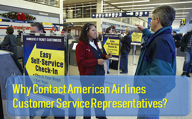 American Airlines Customer Service Representative 1 888 540 1004